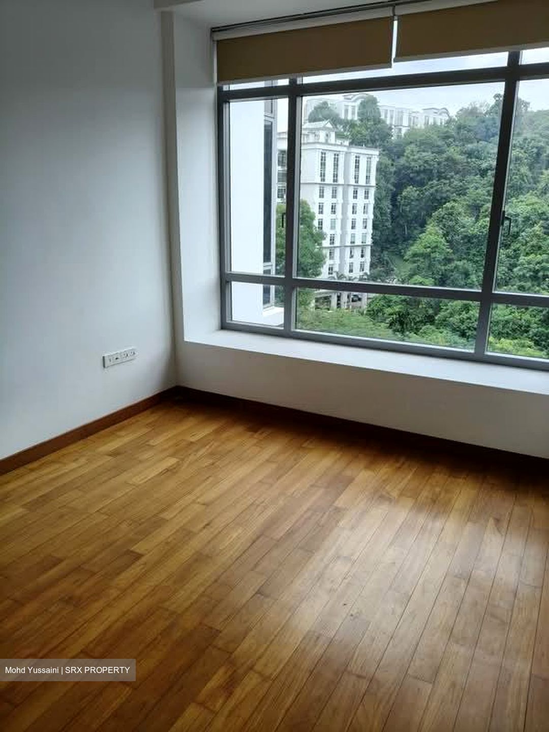 The Lanai (D23), Condominium #593622881
